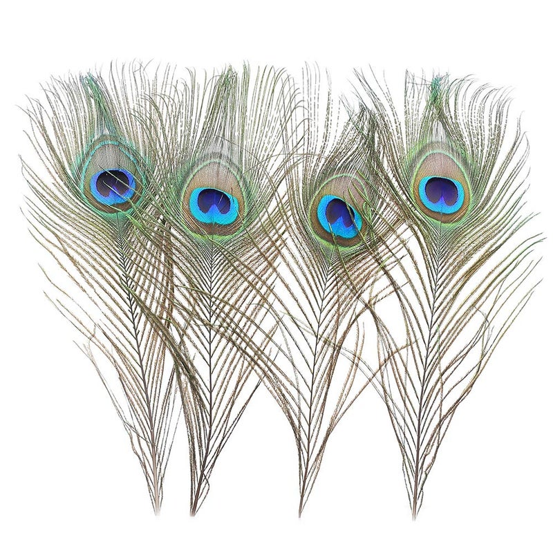 Ballinger 120 PCS Real Natural Peacock Eye Feathers 10-12 inch for DIY Craft, Wedding and Holiday Decorations - Image 4